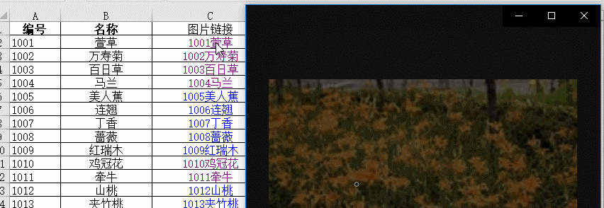 图片放在文件夹里，EXCEL也能查看(图1)
