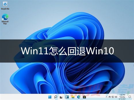 Windows11过期后怎么退回win10? 预装win11想用win10怎么办？
